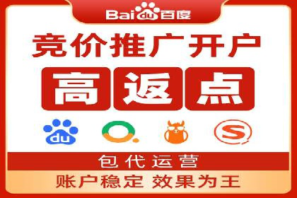 竞价排名中的数据分析和优化案例